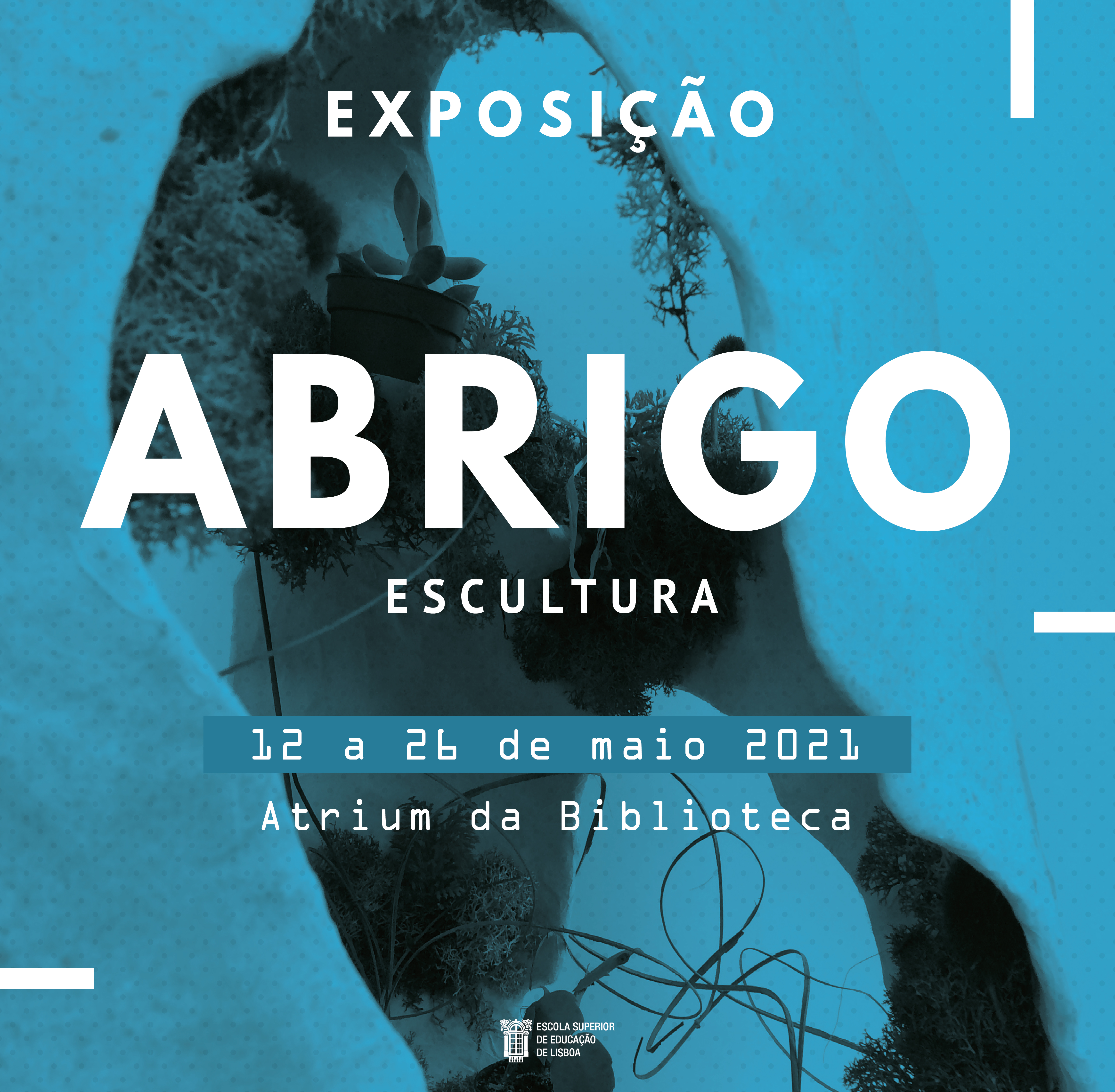 imagem exposição