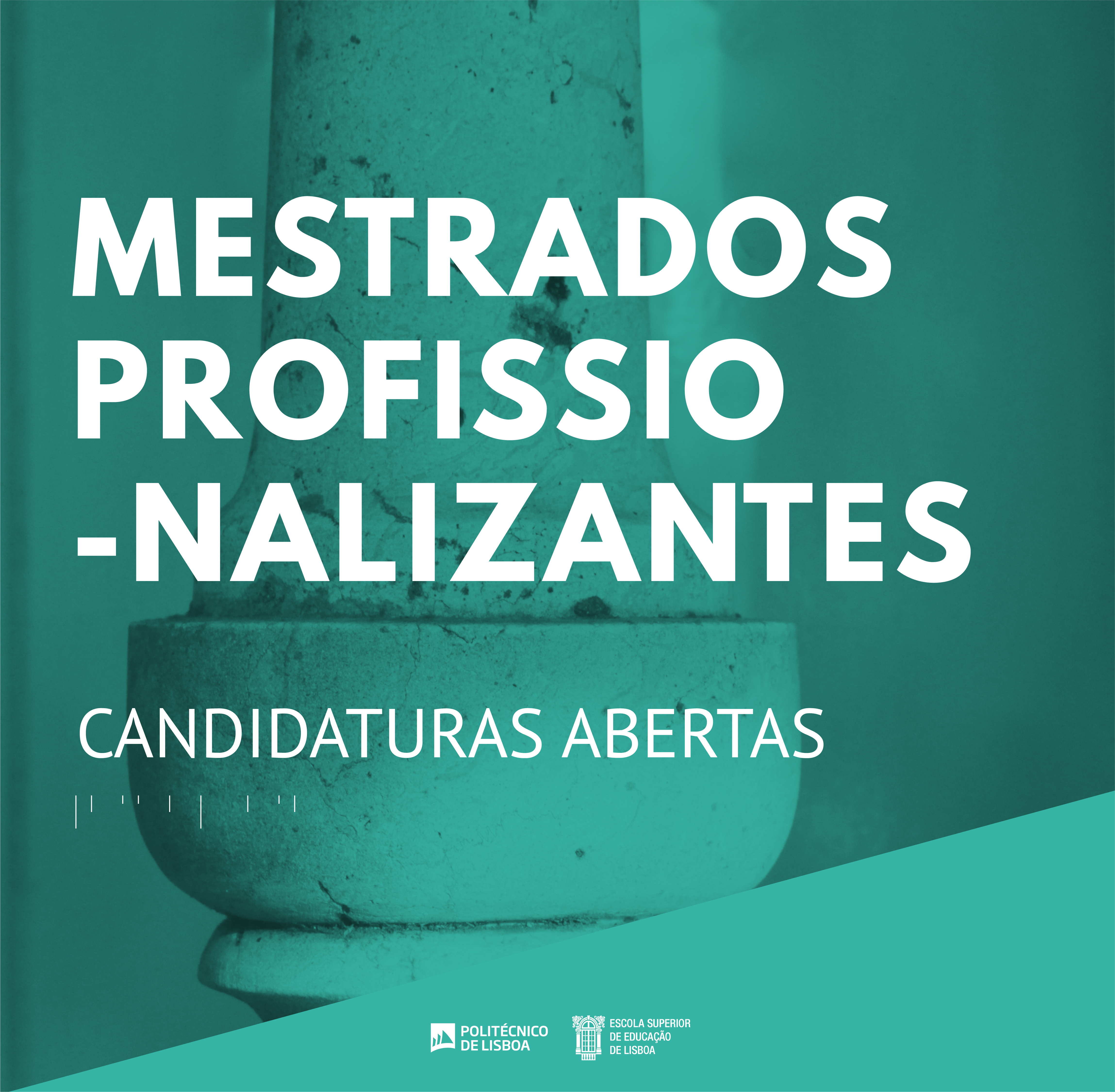 candidaturas mestrados profissionalizantes