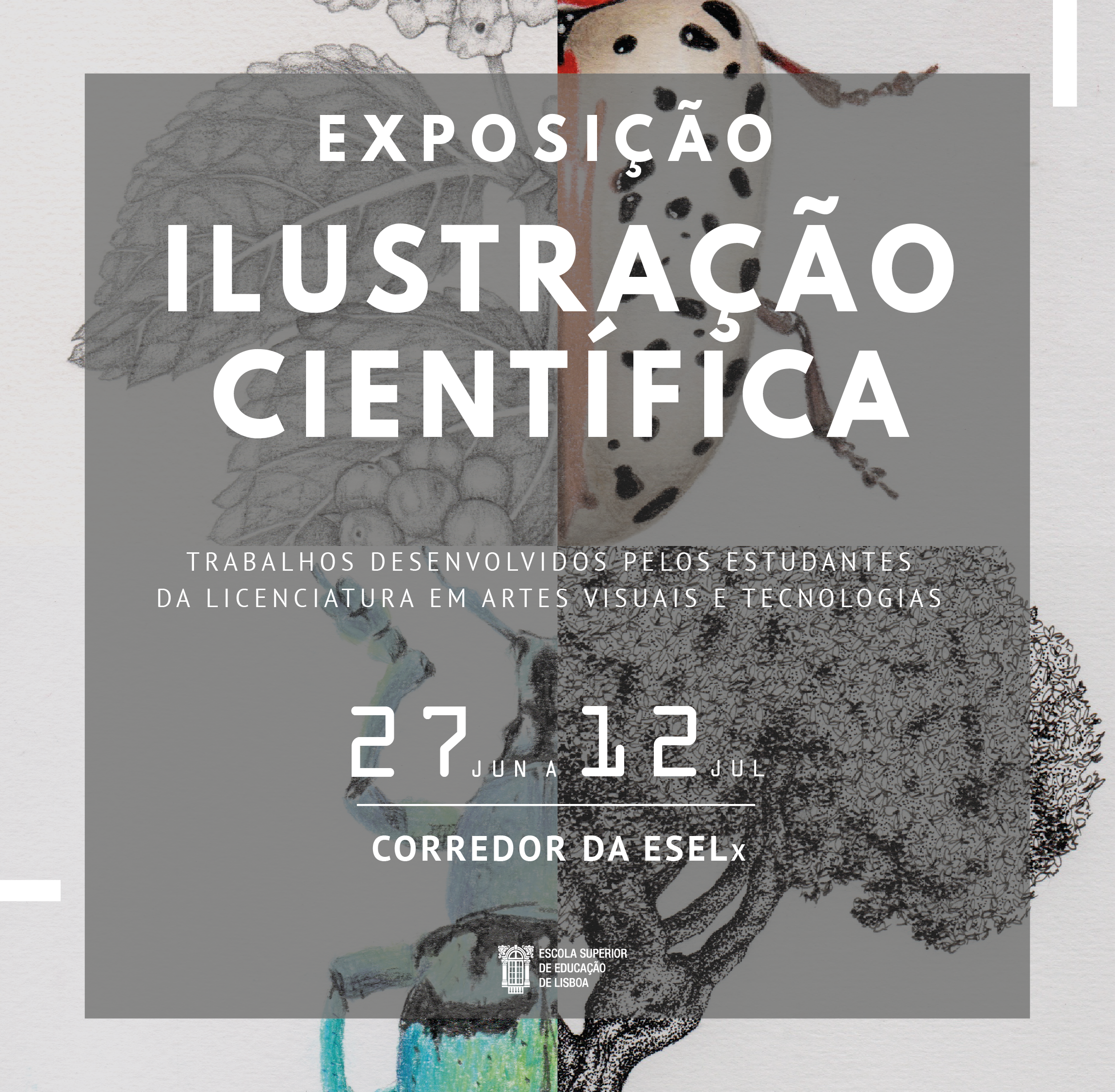 Imagem exposição