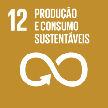 imagem ODS 12