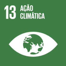 imagem ODS 12