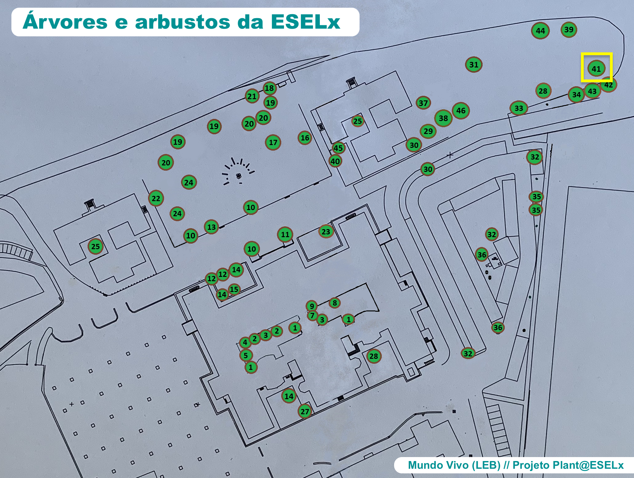 Mapa eselx
