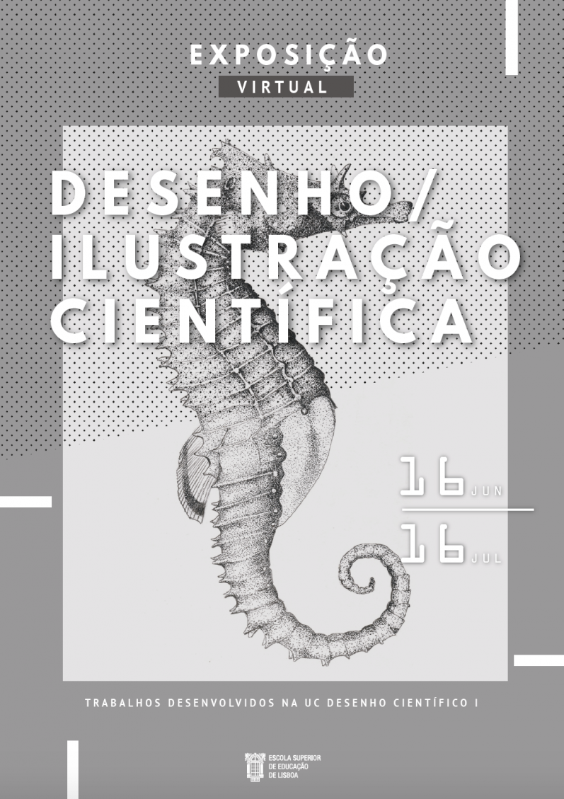 cartaz exposição