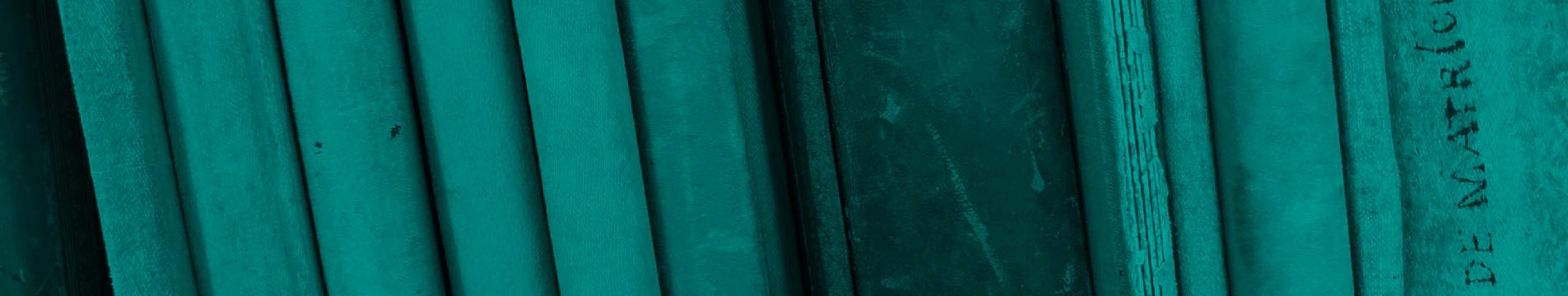 banner diplomados