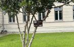 Capa placas plantas