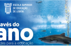 Oceano
