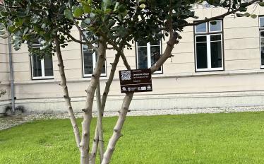 Capa placas plantas